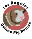 Los Angeles Guinea Pig Rescue - Home
