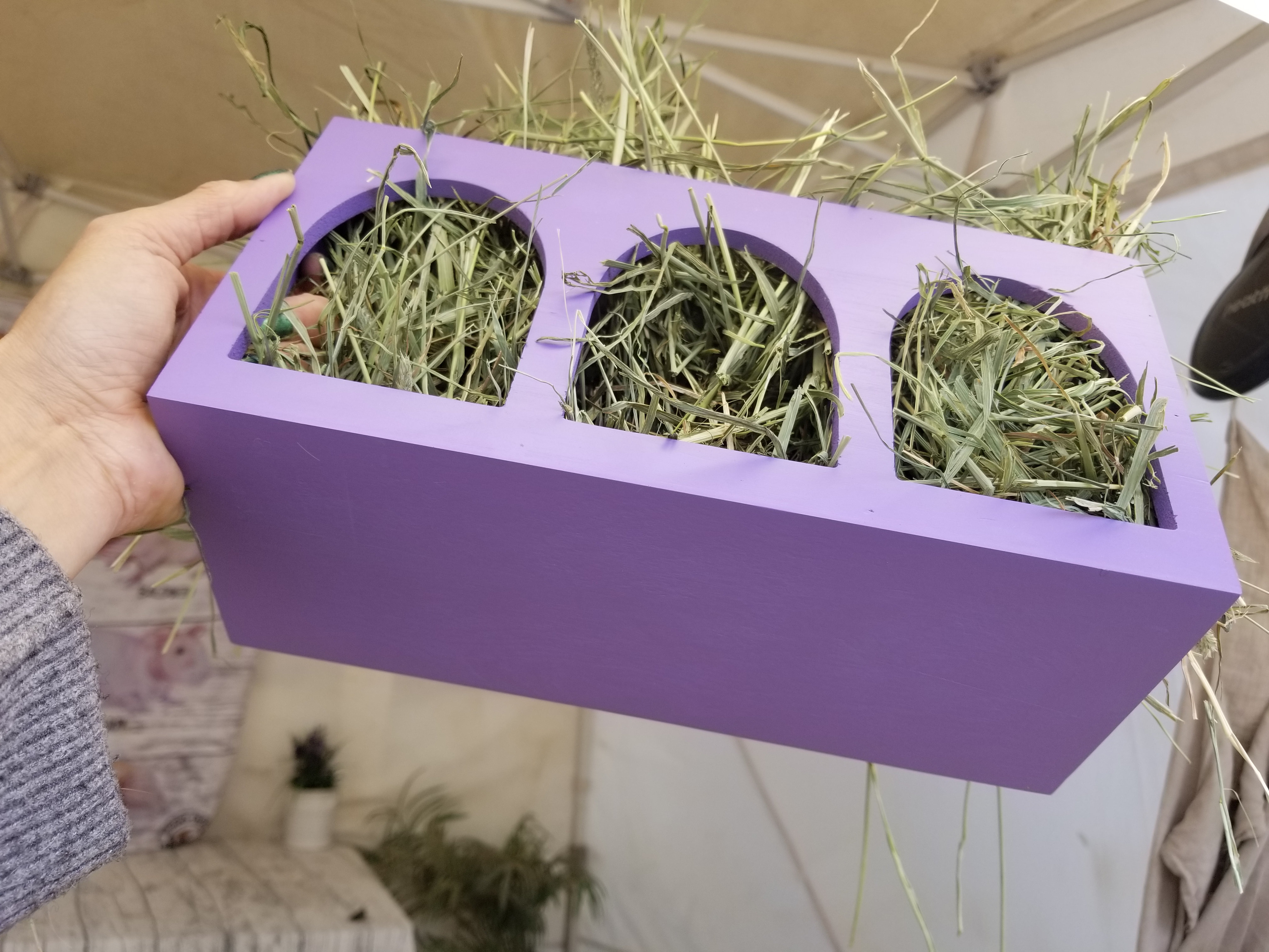 Piggies Choice Pine Attachable Arches Hay Rack in Many Colors Deep Lilac 